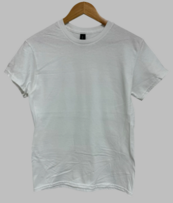 Picture of Gildan Heavy Cotton T-shirt