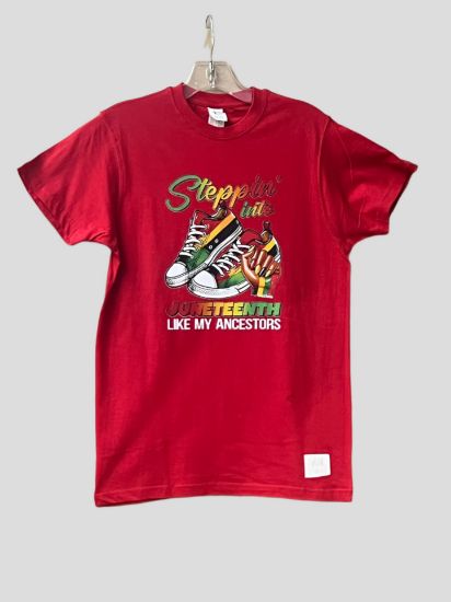 Picture of Stepping into Juneteenth