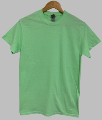Picture of Gildan Heavy Cotton T-shirt